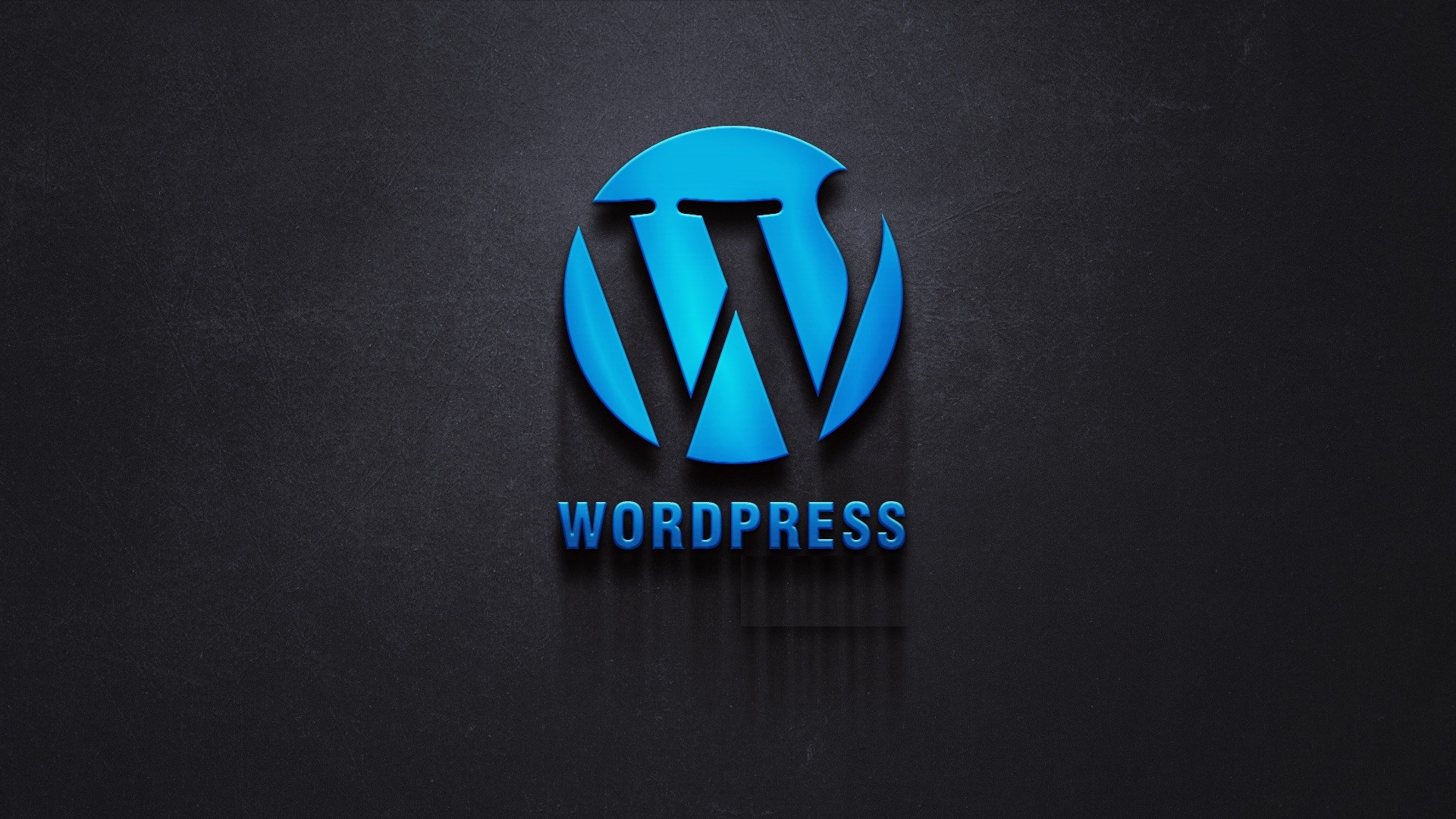 WordPress 6: настройки цветов